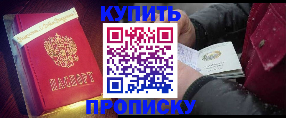 прописка гарантия в Королёве